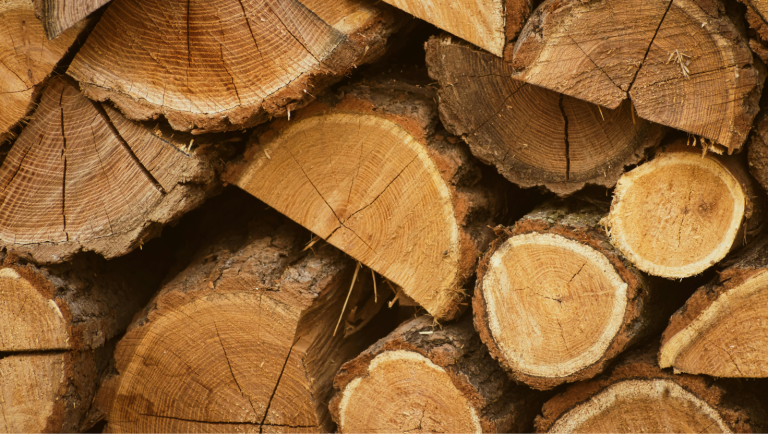 Nereguli după câteva controale pentru prevenirea și combaterea faptelor la regimul silvic în județul Brașov