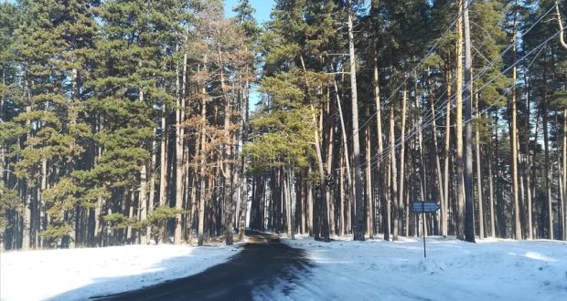 Trei parchete forestiere din Săcele au intrat în exploatare începând cu 2 februarie 2026. Autoritățile avertizează turiștii să evite zonele cu utilaje