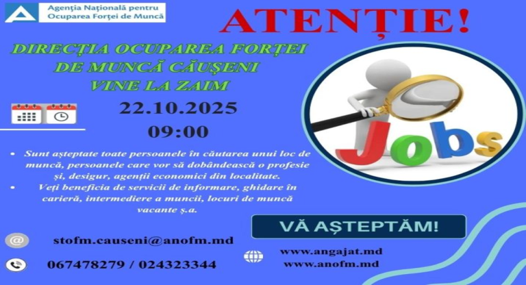 Ocuparea forței de muncă: Cum îmbunătățesc tinerii perspectivele pe insula La Réunion